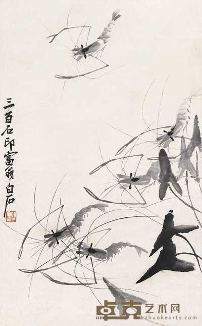齐白石 虾 立轴 55×34cm